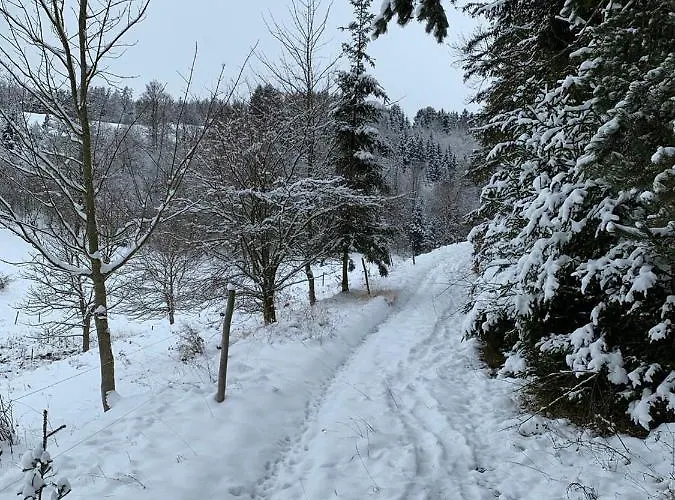 Ferienhaus Am Muehlberg 別荘 *