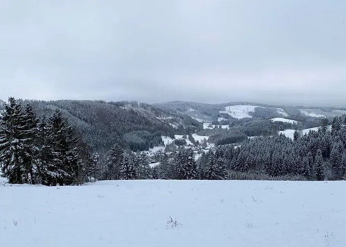 Ferienhaus Am Muehlberg 別荘 Gräfenthal