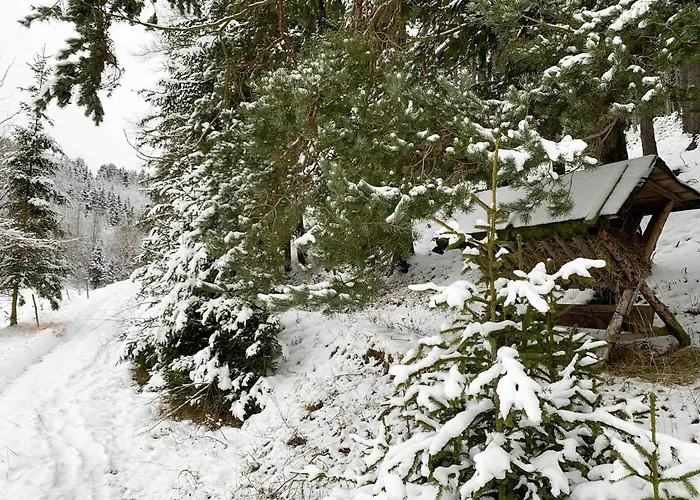 Ferienhaus im Kumbachtal Ferienhaus *
