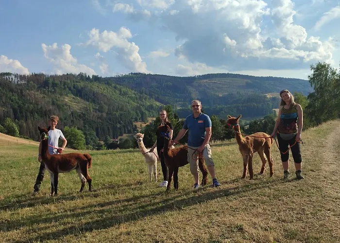 Ferienhaus Am Muehlberg Casa de Férias